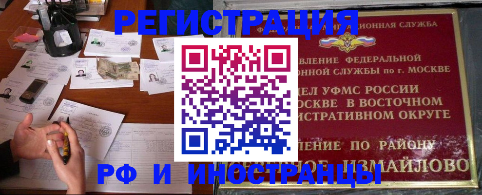 где прописаться в Дятьково